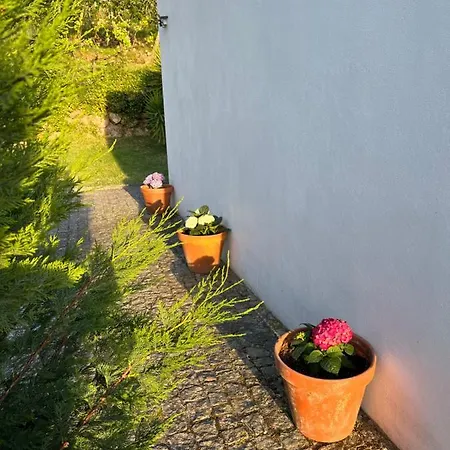 Casa Das Lameirinhas - Douro Holiday home *